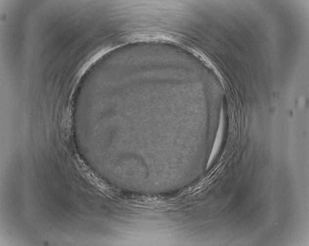 X0000085780975200704131825