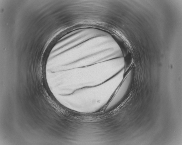 X0000085780976200704131825