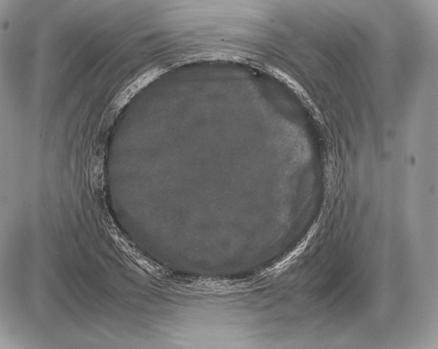 X0000085780977200704131824