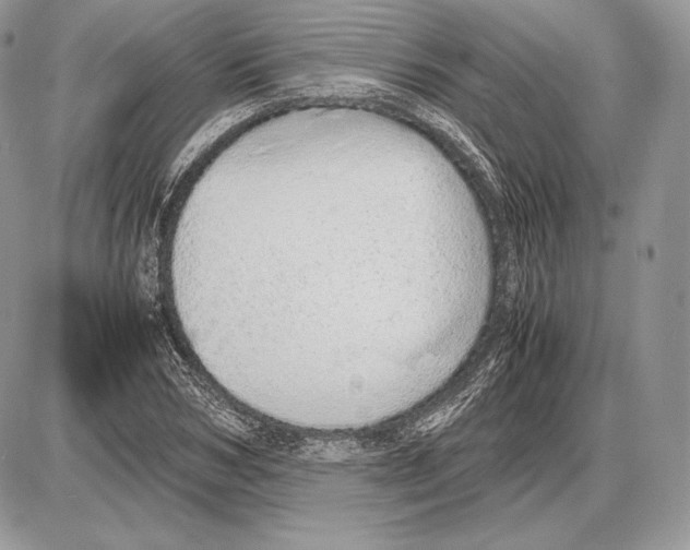 X0000085780978200704131824