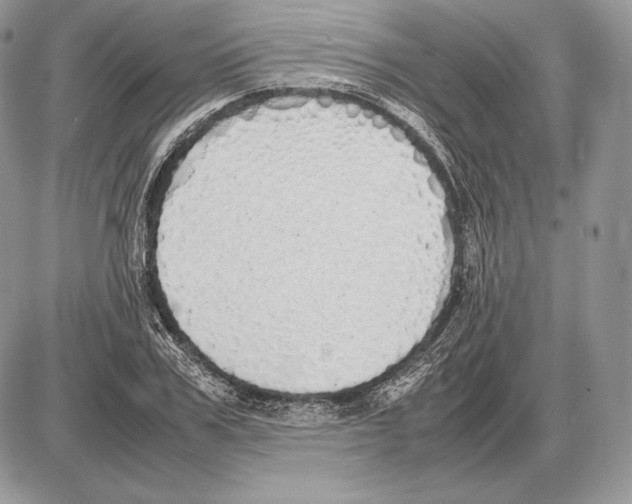 X0000085780979200704131824