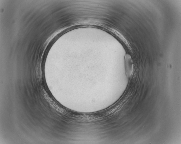 X0000085780980200704131824