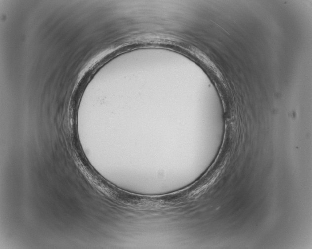 X0000085780981200704131824