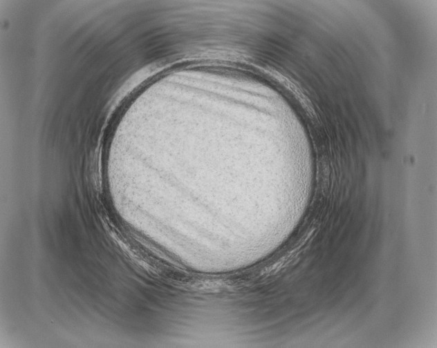 X0000085780982200704131824