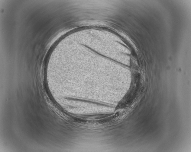 X0000085780983200704131824