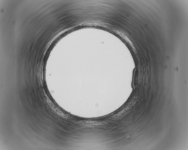 X0000085780984200704131824