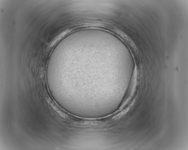 X0000085780985200704131824