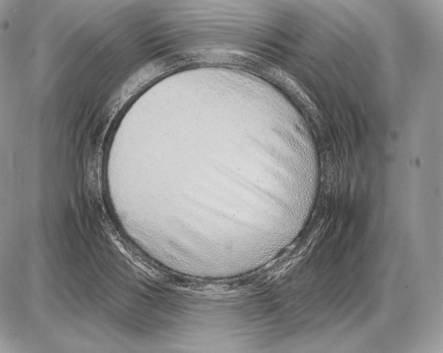 X0000085780986200704131824