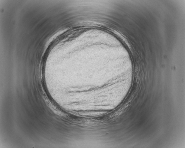 X0000085780987200704131824