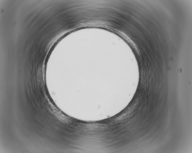 X0000085780988200704131824