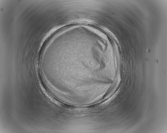 X0000085780989200704131824