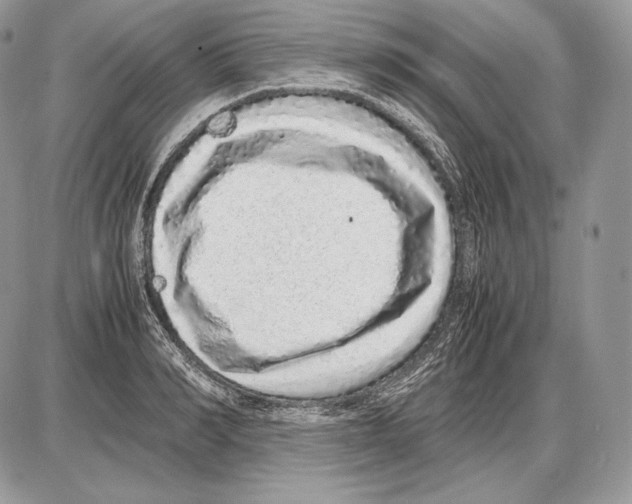 X0000085780990200704131824