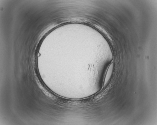 X0000085780991200704131824