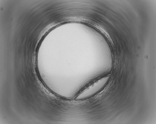 X0000085780992200704131824