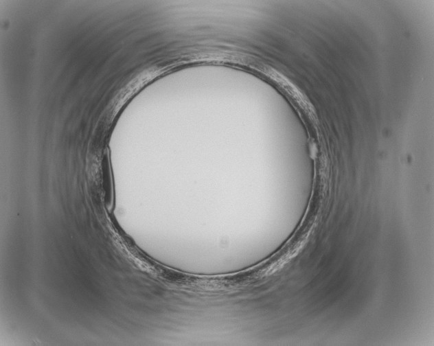 X0000085780993200704131824