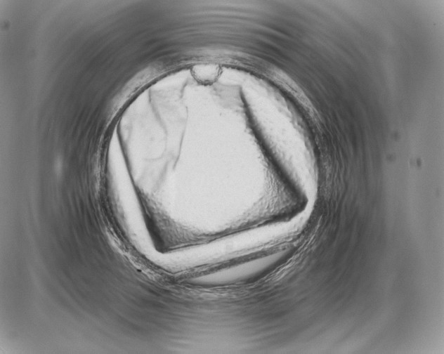 X0000085780994200704131824