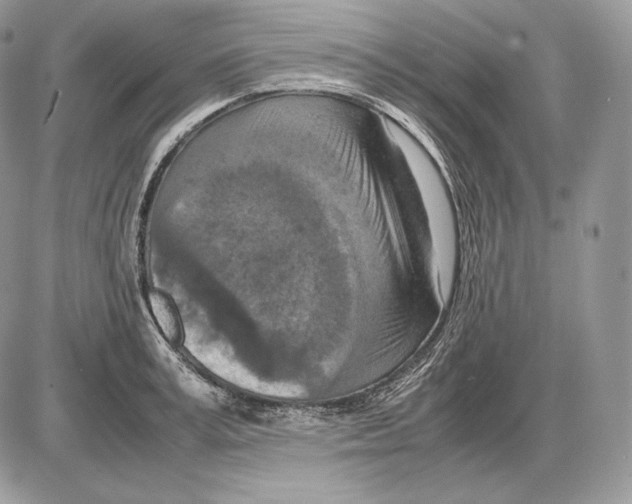 X0000085780995200704131824