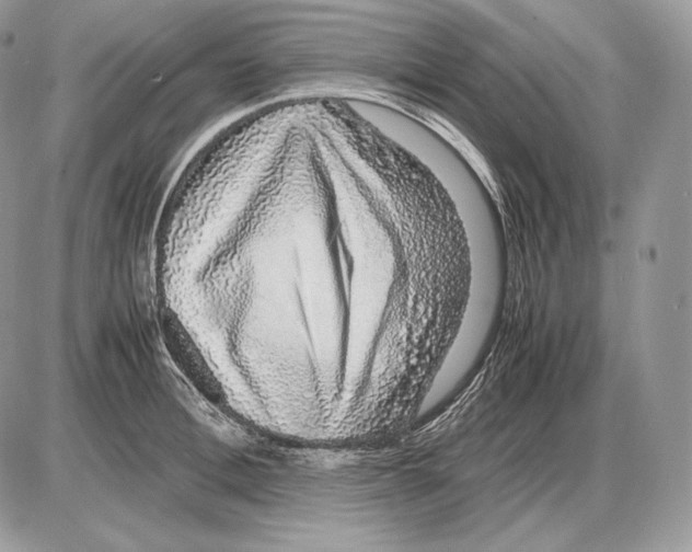 X0000085780996200704131824