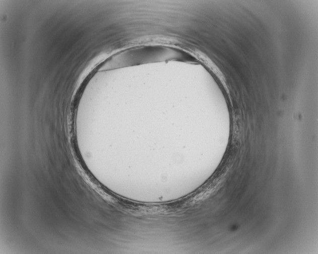 X0000085780997200704131824