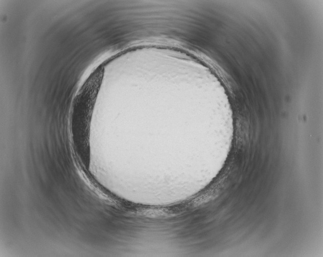 X0000085780998200704131824