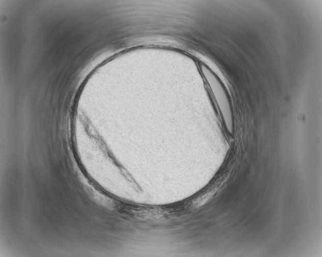 X0000085780999200704131824