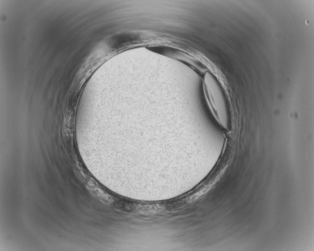 X0000085781001200704131824