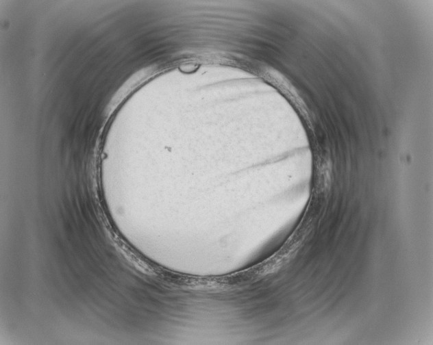 X0000085781002200704131824