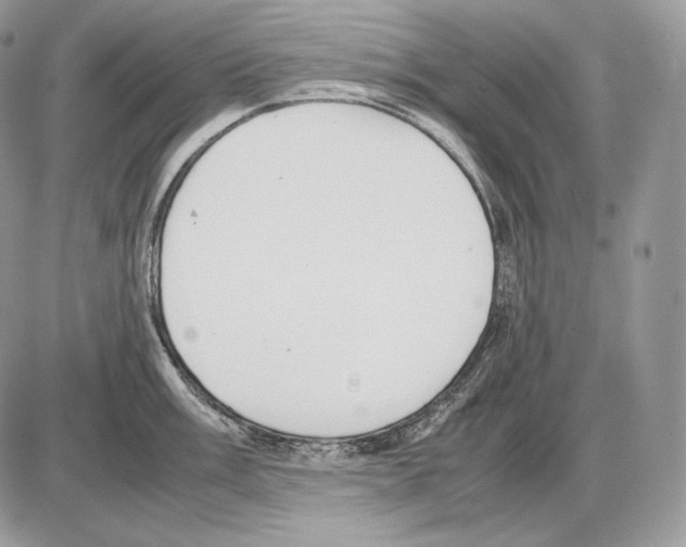 X0000085781003200704131824