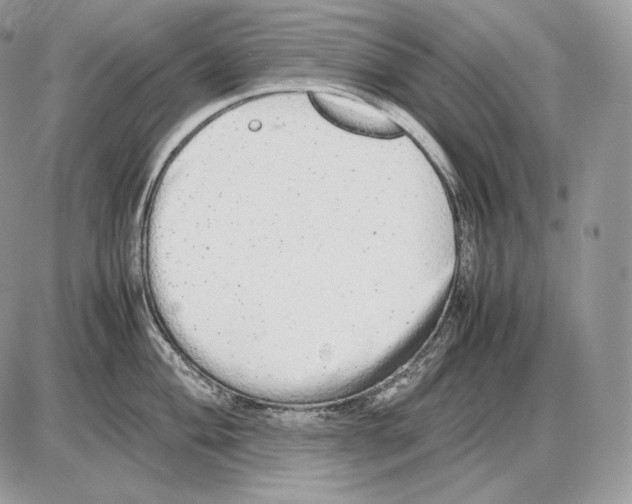 X0000085781004200704131824