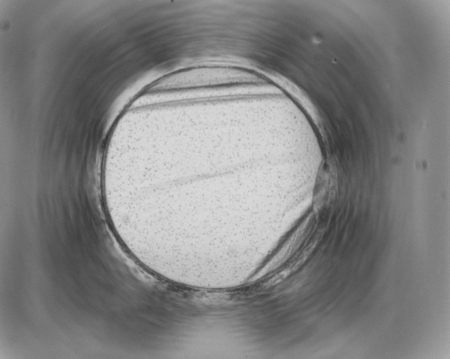 X0000085781006200704131824