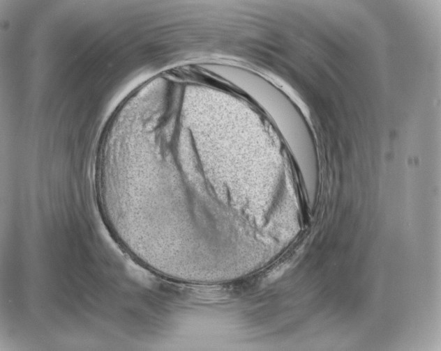 X0000085781007200704131824