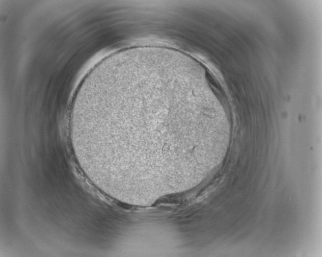 X0000085781008200704131824