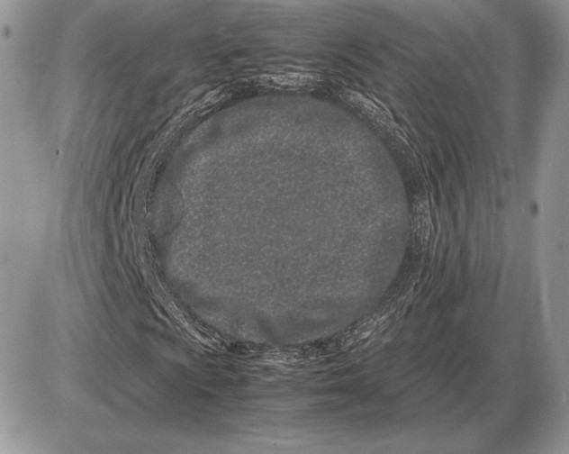 X0000085781009200704131823