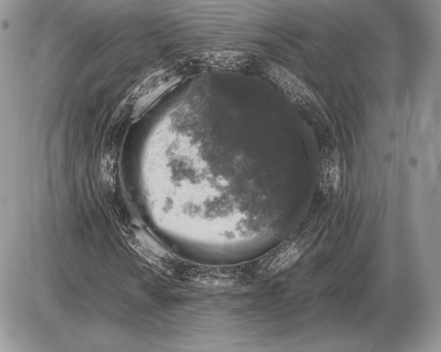 X0000085781010200704131823