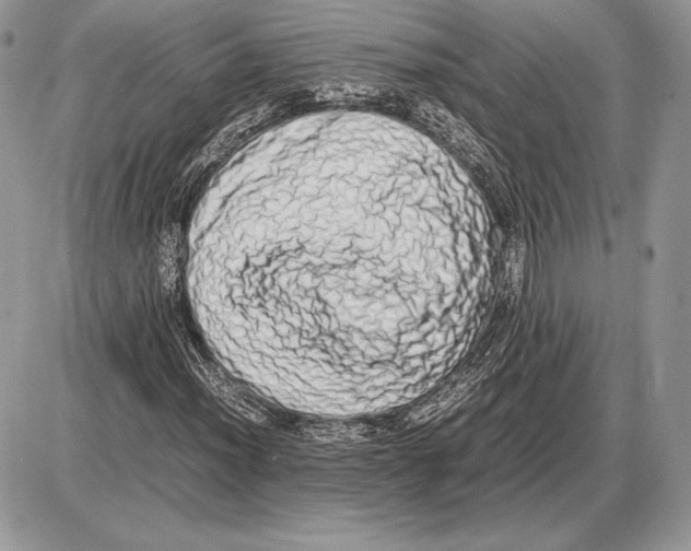 X0000085781012200704131823