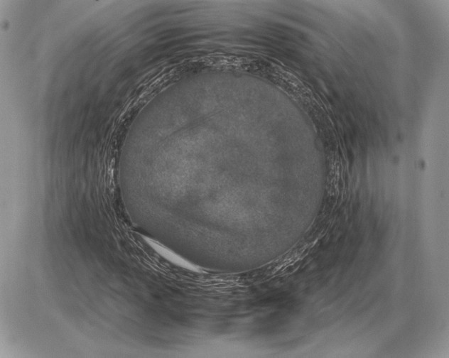 X0000085781013200704131823