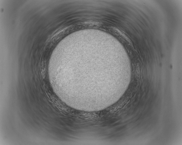 X0000085781015200704131823