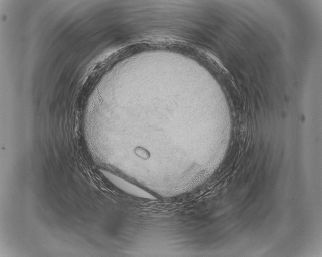 X0000085781016200704131823