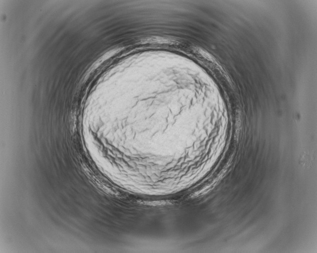 X0000085781017200704131823