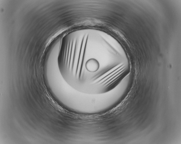 X0000085781018200704131823