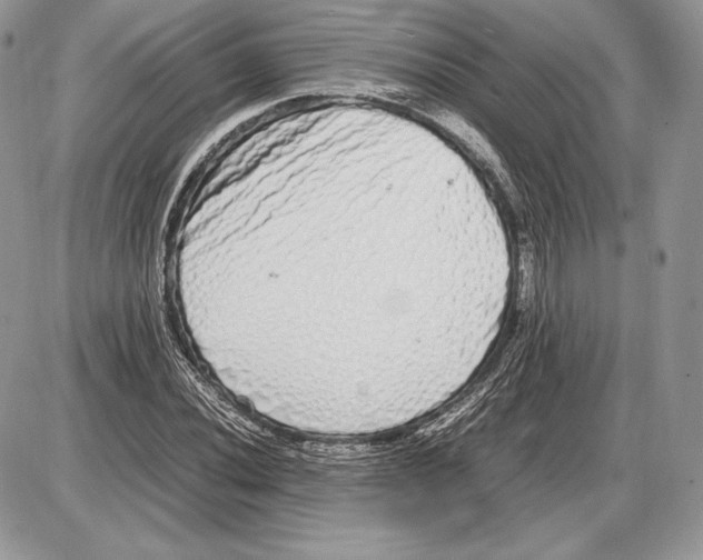 X0000085781020200704131823