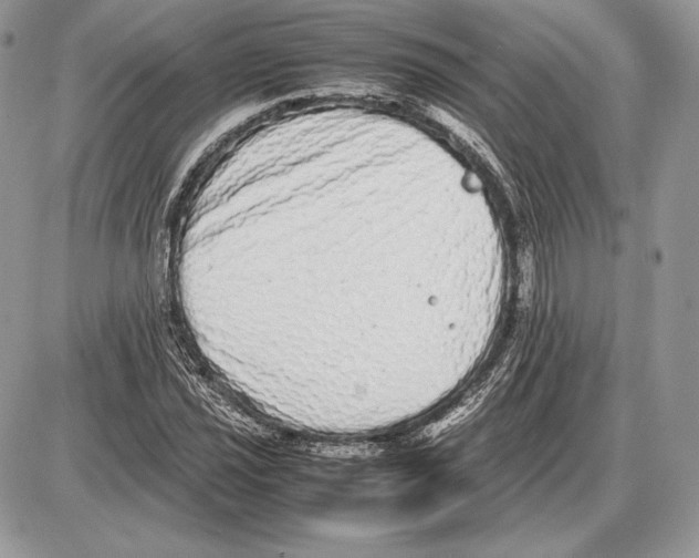 X0000085781021200704131823