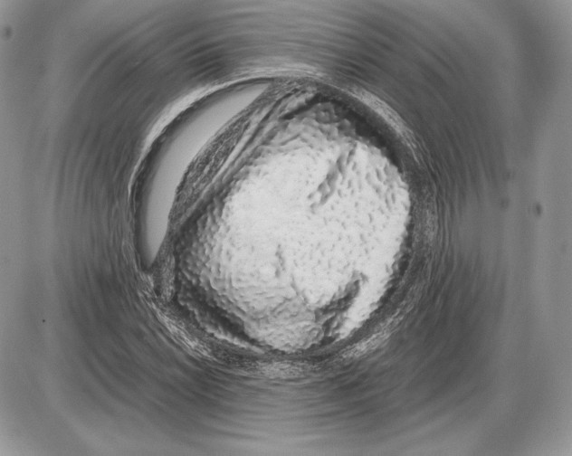 X0000085781022200704131823