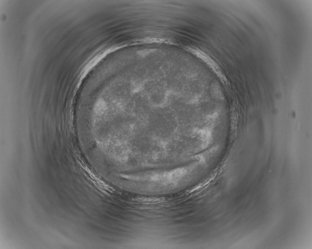 X0000085781023200704131823