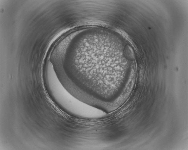 X0000085781024200704131823