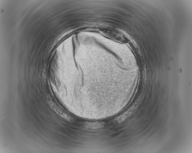 X0000085781025200704131823