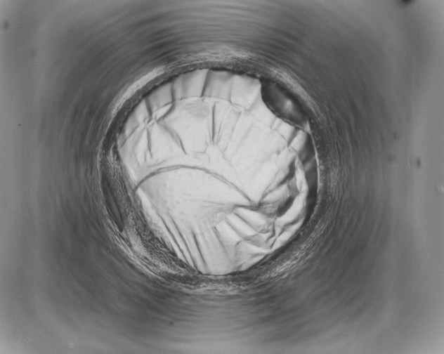 X0000085781026200704131823