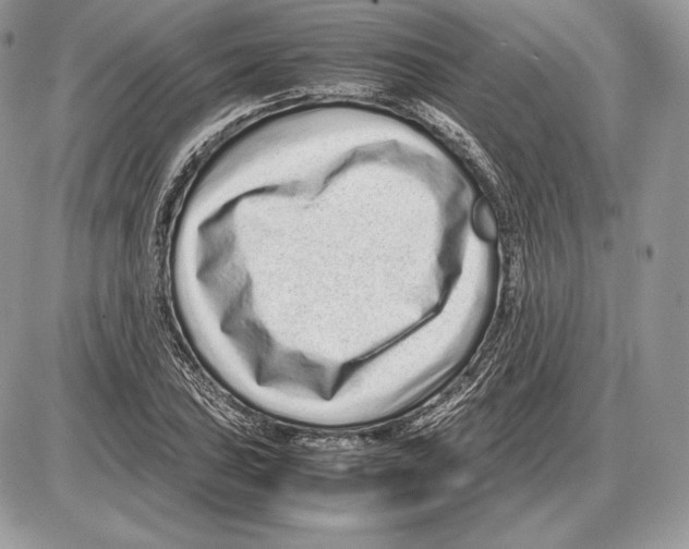 X0000085781027200704131823