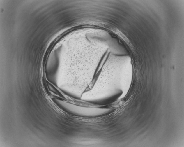 X0000085781028200704131824