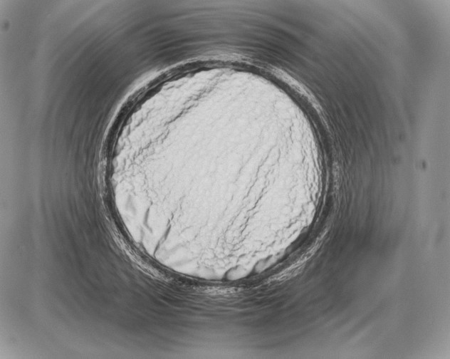 X0000085781029200704131824